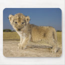 Buscar flash alfombrillas de raton Horizontal