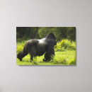 Buscar volcán lienzos África