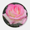Buscar princess imanes Rosa