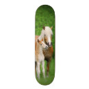 Buscar caballo tablas de skate Para ella