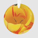 Buscar tulipa adornos Para todos