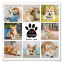 Buscar trendy mascotas Crea tu propio