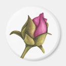 Buscar peony imanes Naturaleza