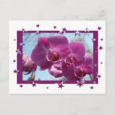 Buscar orquídea postales Flores