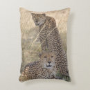 Buscar depredadores cojines Fauna silvestre africana