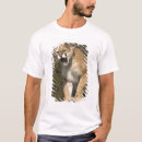Buscar caza del puma Joe