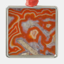 Buscar ciencias naturales adornos Opinión del primer