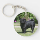 Buscar carlin llaveros De pie