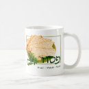 Buscar matzah tazas Seder