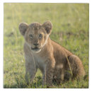 Buscar cubo azulejos Cerámica