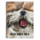 Buscar shih tzu Divertido