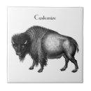 Buscar buey azulejos Toro