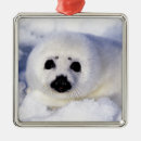 Buscar arpa adornos Nieve