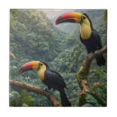 Buscar armonía azulejos Pájaros