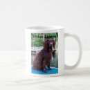 Buscar perro de aguas fotografía Imagen