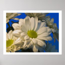 Buscar aster posters Margarita