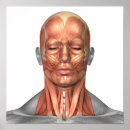 Buscar cuello humano posters Cabeza