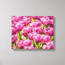 Buscar fucsia lienzos Flores