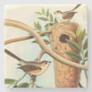 Buscar pájaros posavasos Rama de árbol
