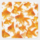 Buscar peces marinos pegatinas Animales