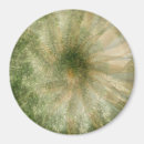 Buscar matiz imanes Abstracto