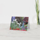 Buscar peregrinos tarjetas Massachusetts