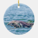 Buscar animales marinos adornos Delfín