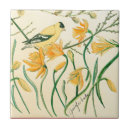 Buscar spring azulejos Rosa