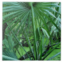 Buscar plantas tropicales azulejos Naturaleza