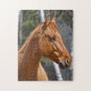 Buscar equino puzzles Animales