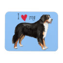 Buscar berner imanes Perro de montaña bernese