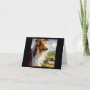 Buscar rough collie tarjetas Cachorro
