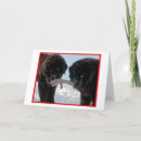Buscar newfie tarjetas General y unisex