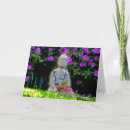 Buscar paz de buda Fotografía