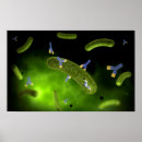 Buscar proteínas posters Ilustracion