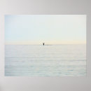 Buscar ballena jorobada posters Fotografía