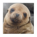 Buscar ecuador azulejos Danita delimont