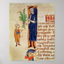 Buscar plantas medicinales posters Manuscrito