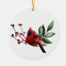 Buscar cardenales adornos Ornamento