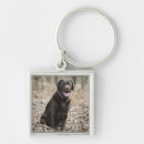 Buscar integral llaveros Alegre