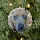 Buscar bultos adornos Perro