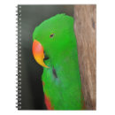 Buscar loro cuadernos Animal