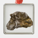 Buscar ciencias naturales adornos Nadie