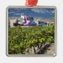 Buscar bodega adornos País