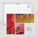 Buscar gotas de agua postales Para todos