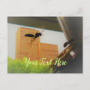 Buscar carpintero postales Para él