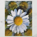 Buscar margaritas flyers General y unisex