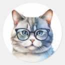 Buscar gatos grises pegatinas Para todos