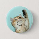 Buscar gatos chapas Gatito