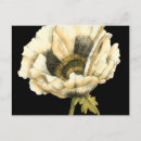 Buscar fondo negro postales Decorativo